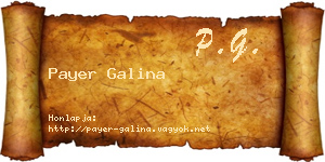 Payer Galina névjegykártya